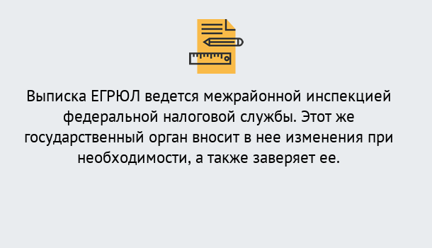 Почему нужно обратиться к нам? Удомля Выписка ЕГРЮЛ в Удомля ?