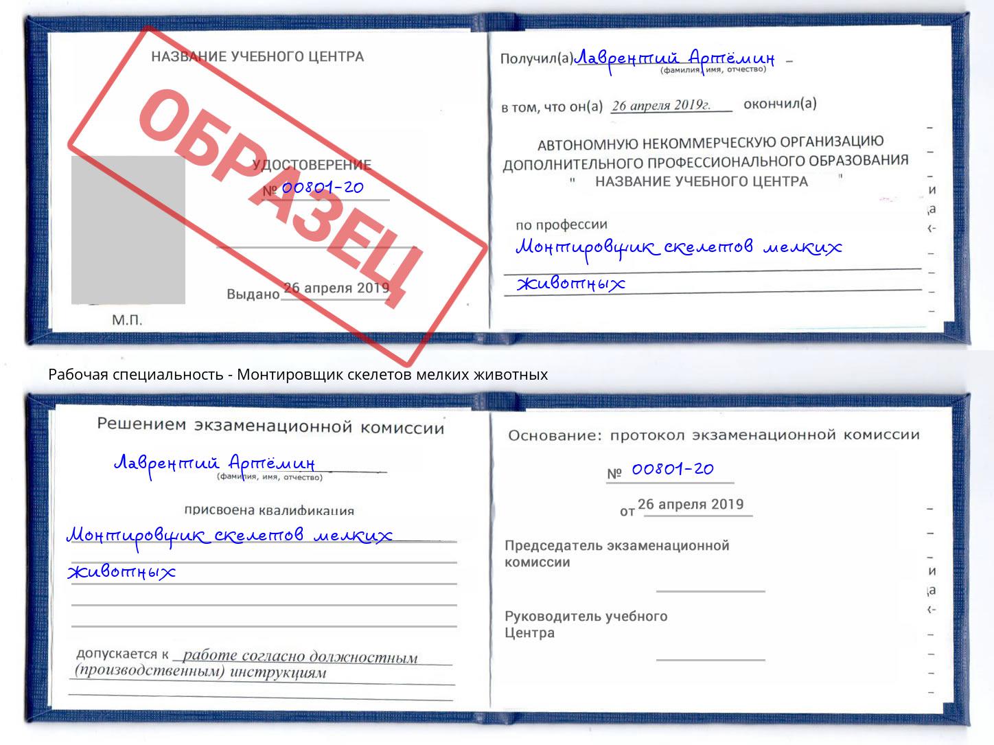 Монтировщик скелетов мелких животных Удомля