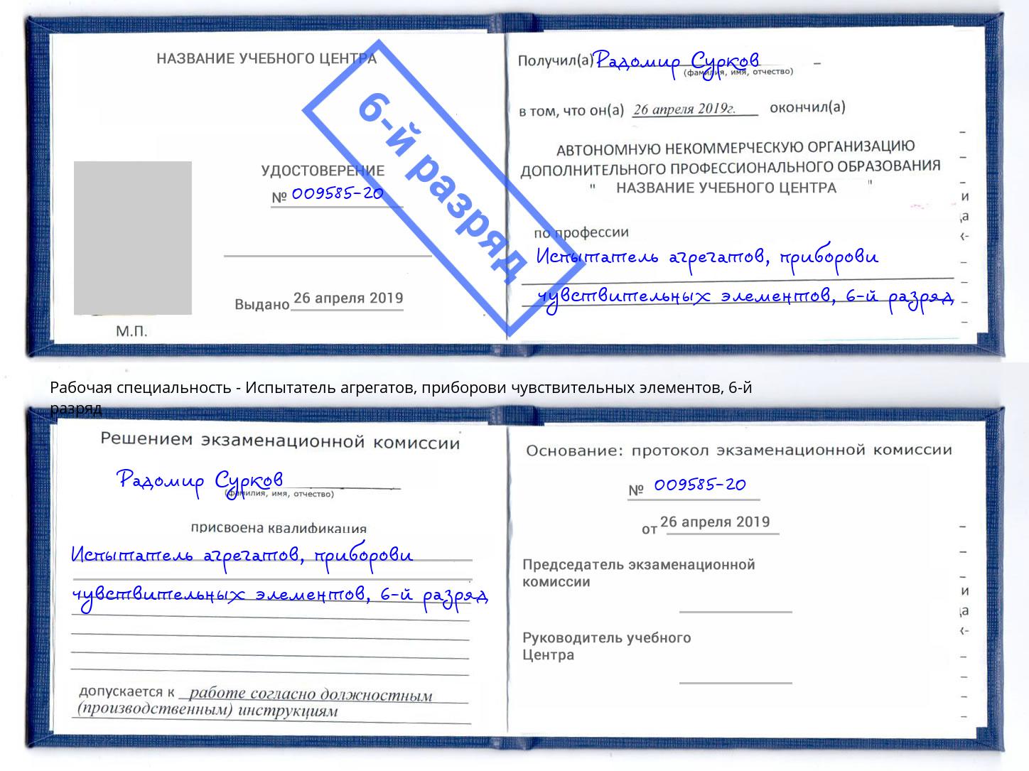 корочка 6-й разряд Испытатель агрегатов, приборови чувствительных элементов Удомля
