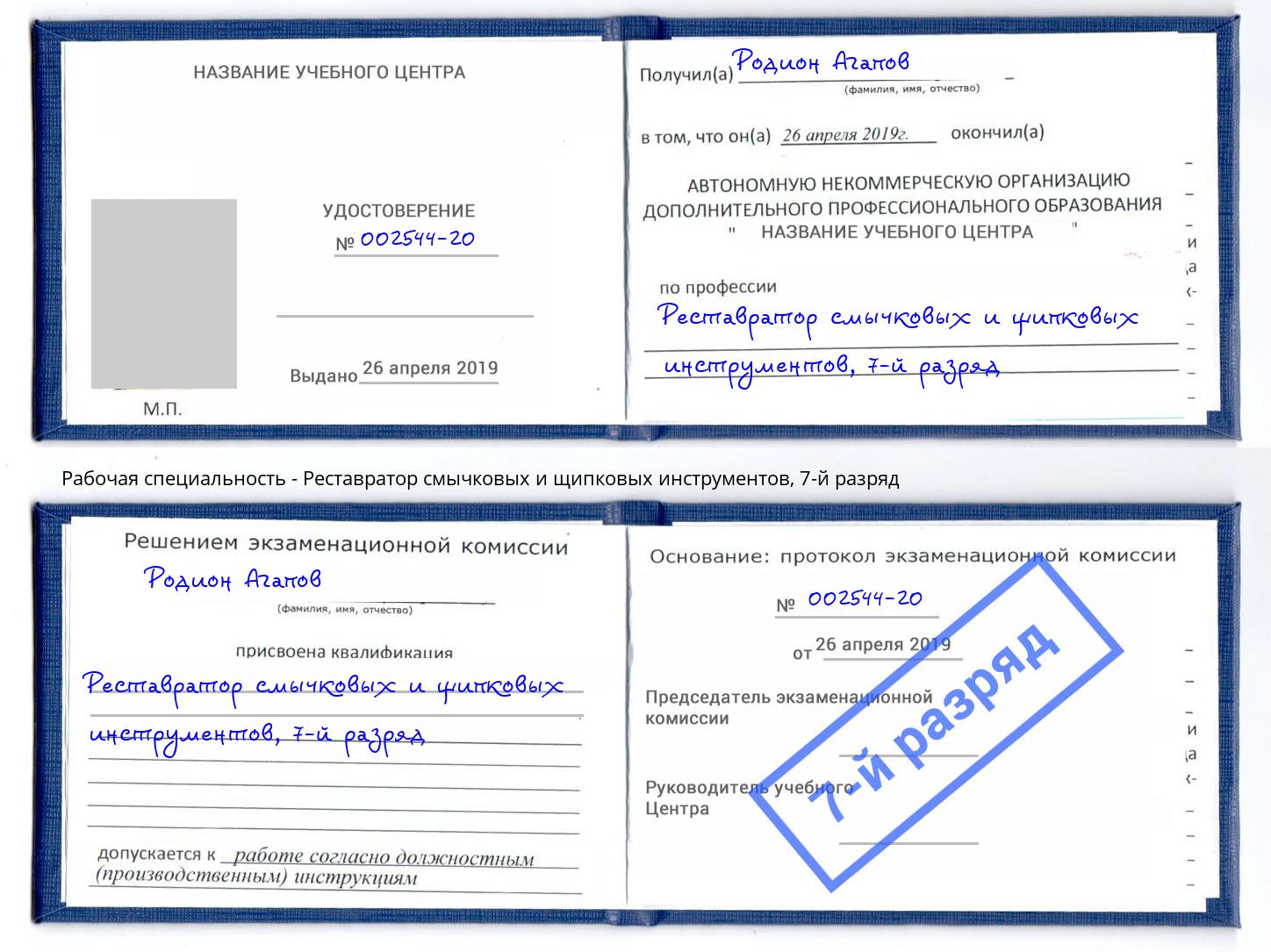 корочка 7-й разряд Реставратор смычковых и щипковых инструментов Удомля