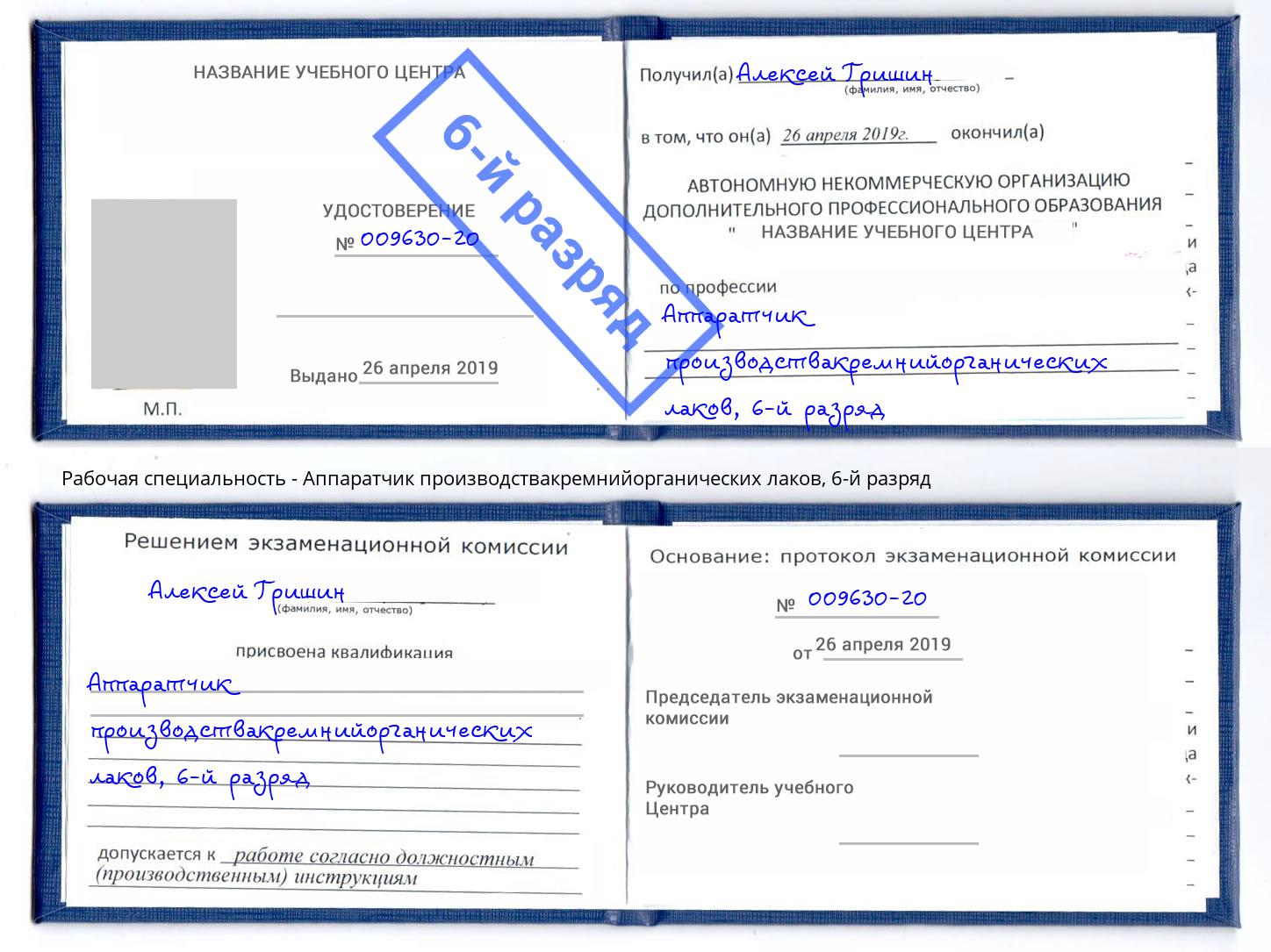 корочка 6-й разряд Аппаратчик производствакремнийорганических лаков Удомля