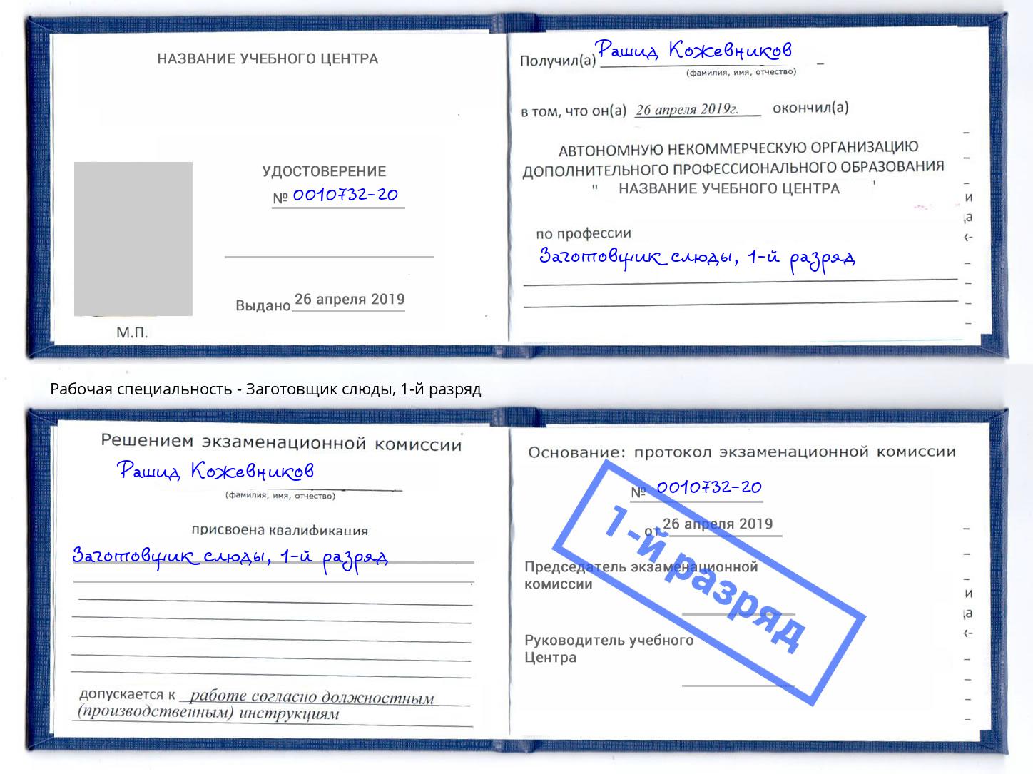 корочка 1-й разряд Заготовщик слюды Удомля