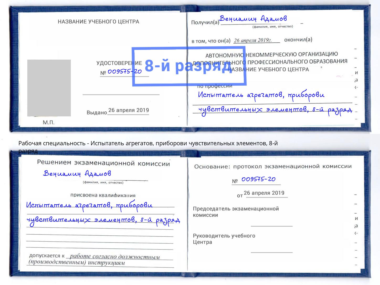 корочка 8-й разряд Испытатель агрегатов, приборови чувствительных элементов Удомля